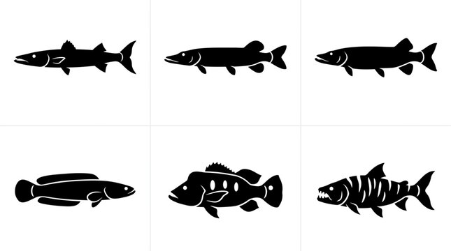 Flat vector icon set of 6 predatory fish: barracuda, pike, muskie, snakehead, peacock bass, and tigerfish 