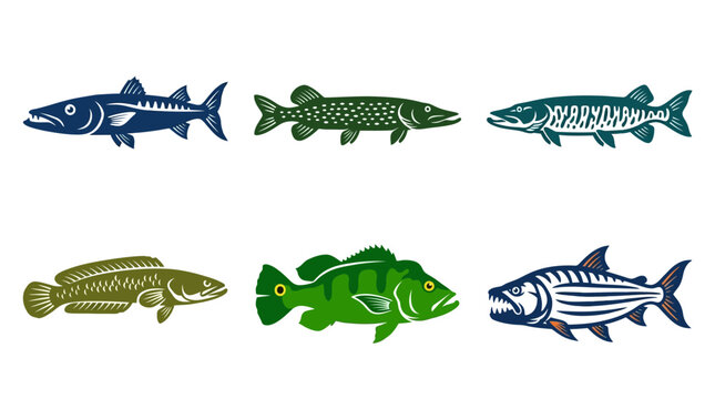 Flat vector icon set of 6 predatory fish: barracuda, pike, muskie, snakehead, peacock bass, and tigerfish 