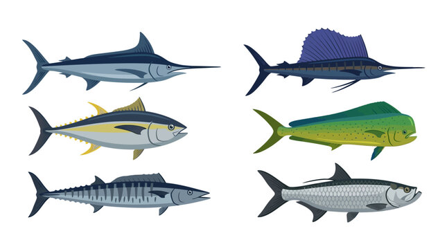 Flat vector icon set of 6 saltwater game fish: blue marlin, sailfish, tuna, mahi-mahi, wahoo, and tarpon