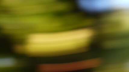 Blurred motion of vibrant green and yellow nature scene with hints of warm sunlight © M Halim Abduh