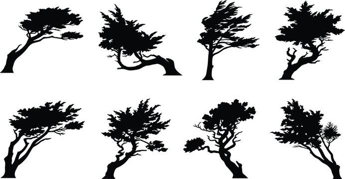 Collection of windswept coastal tree silhouettes featuring leaning cypress and pine trunks for nature landscape design projects