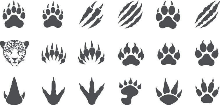 Collection of animal paw prints and claw marks various shapes for design and illustration elements.