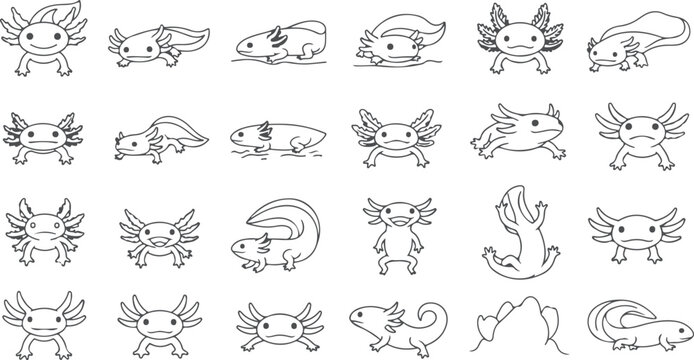 Cute cartoon axolotl collection vector outline drawings in different poses and styles on transparent background.