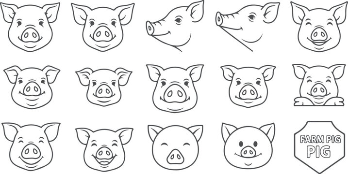 Variety of cute pig faces and heads in different expressions line art drawings vector collection.