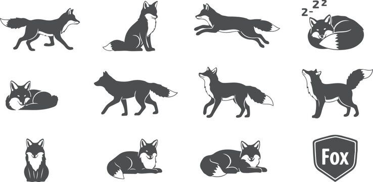 Collection of fox silhouettes in various poses and moods for graphic design on transparent background.