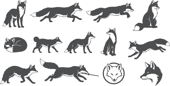 Silhouettes of foxes in various poses and actions on transparent background.