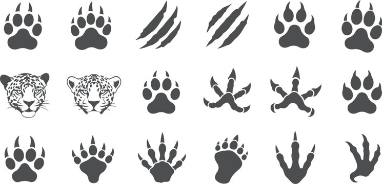 Set of jaguar paw prints claws and head silhouettes for wildlife and jungle animal design.