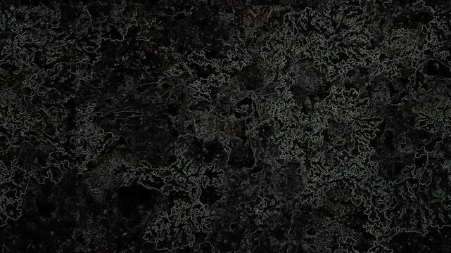 Dark textured surface featuring intricate leaf-like patterns, organic details, shadows, and mysterious depth. Grunge texture background animation.