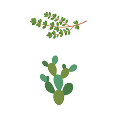 Obraz premium Tiny Green Plant Branch and Flat Illustration of a Segmented Cactus Stem on White Background