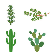 Collection of stylized green cacti and herbs, perfect for illustrations and nature-themed designs © anwari_adi