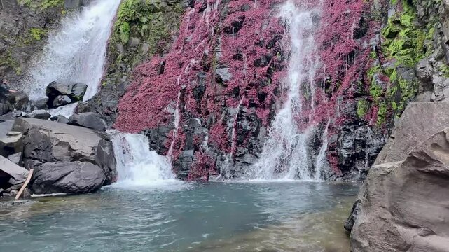 Caminata Por cascada Chorrillito Panama