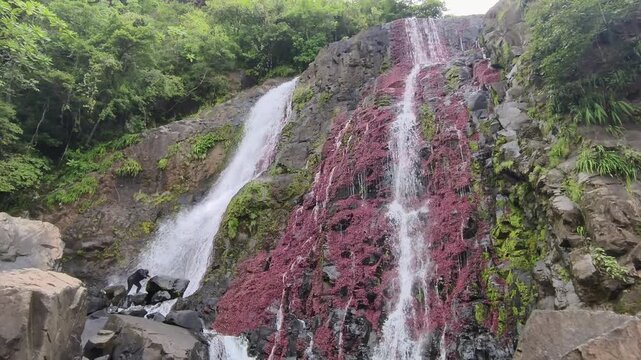 Caminata Por cascada Chorrillito Panama