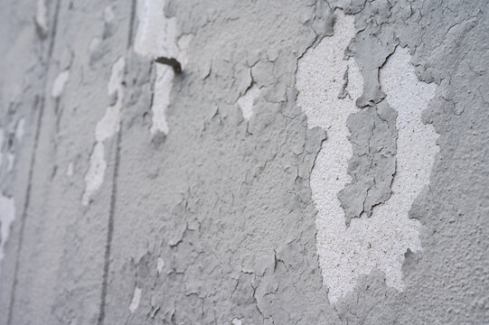 Close up of peeling paint on gray concrete wall. Peeling, cracking, or blistering paint occurs when there is a loss of adhesion between the paint and the surface it's placed on.