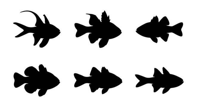Fish silhouette icon set, marine life variations, white background, vector illustration