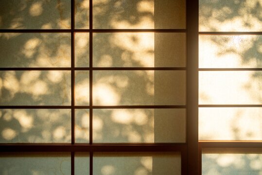 Shoji Screen With Leaf Shadows