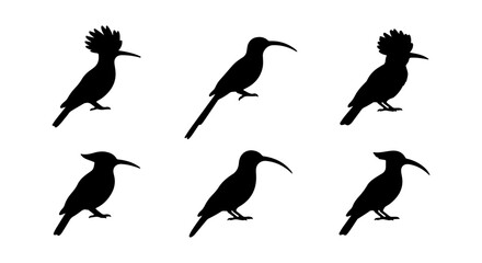 Hoopoe bird silhouette icon set, white background, vector Illustration © Rubi