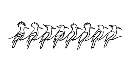 Hoopoe birds icon line art, white background, vector Illustration © Rubi