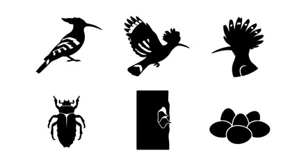 Hoopoe bird and insect icons, white background, silhouette Illustration © Rubi