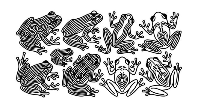Frog icon set outline style, white background, vector Illustration