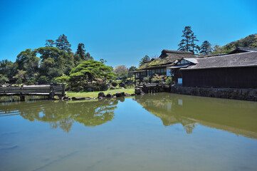 Fototapeta premium 彦根城 玄宮園