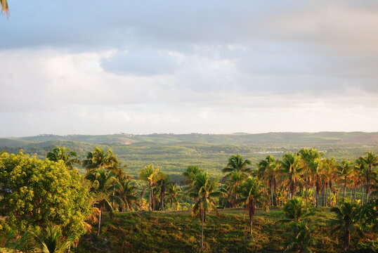 Natureza