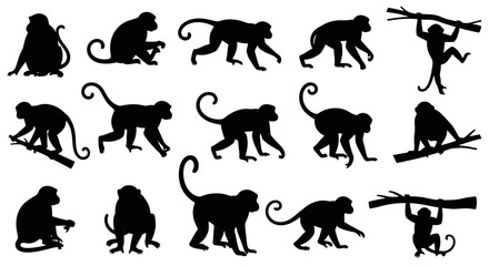 Obraz premium Collection of diverse monkey silhouettes in various dynamic poses, showcasing their agility and natural behaviors.