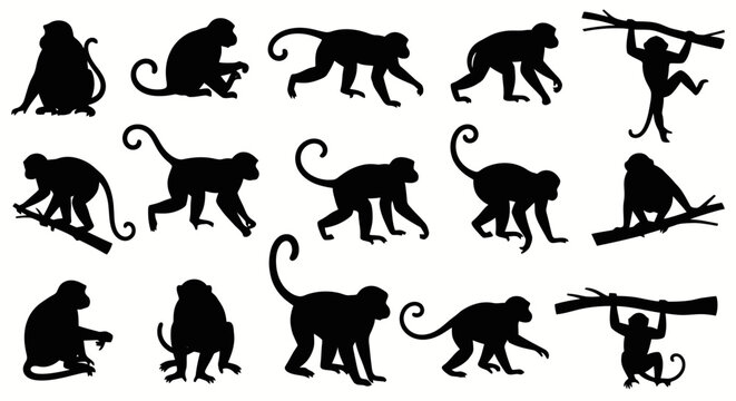 Collection of diverse monkey silhouettes in various dynamic poses, showcasing their agility and natural behaviors.