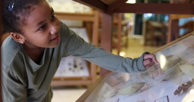 Young child carefully observing a preserved butterfly collection inside a museum display case. The image highlights museum learning, natural history educatio