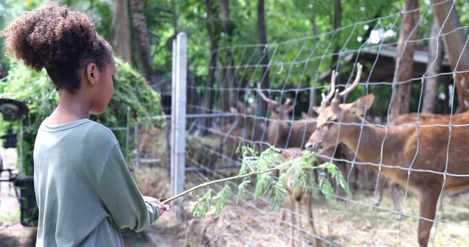 Young girl enjoying a close interaction with deer while feeding them in a nature park. The image represents wildlife education, environmental awareness