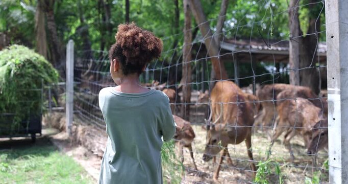 Young girl enjoying a close interaction with deer while feeding them in a nature park. The image represents wildlife education, environmental awareness
