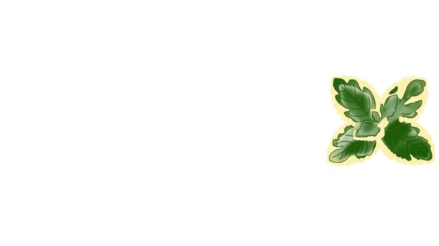 Animated watercolor peppermint leaf collection featuring fresh herbal illustrations in a botanical style. Perfect for wellness branding, organic products, herbal medicine content, food packaging