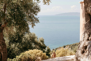 Obraz premium Calm blue sea at the horizon viewed from a hillside terrace through olive trees for mediterranean travel advertising, summer vacation lifestyle and hospitality design