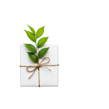 Gift box with green plant and twine
