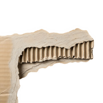 Torn brown cardboard texture with visible corrugated layers isolated on transparent background