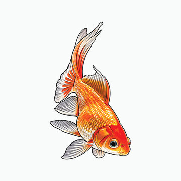 Ornate goldfish in vibrant vector illustration