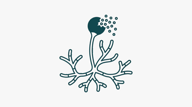 Microscopic view of a fungus spore releasing spores.
