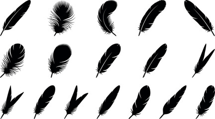 Black feather silhouette vector icon set featuring detailed bird quills fluffy plumes eagle wing down tail feathers and bohemian tribal graphic design elements. © MdMehedi