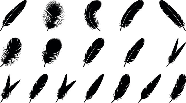 Black feather silhouette vector icon set featuring detailed bird quills fluffy plumes eagle wing down tail feathers and bohemian tribal graphic design elements.