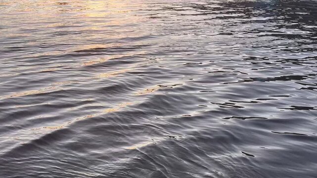 Water flowing gently from the lakeside creating tiny wavelets at sunset