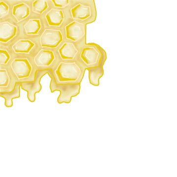 Barra de miel de abeja