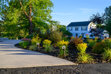 Fototapeta premium Landscaped Garden Bed with Shrubs and Walkway in Front of a Suburban House
