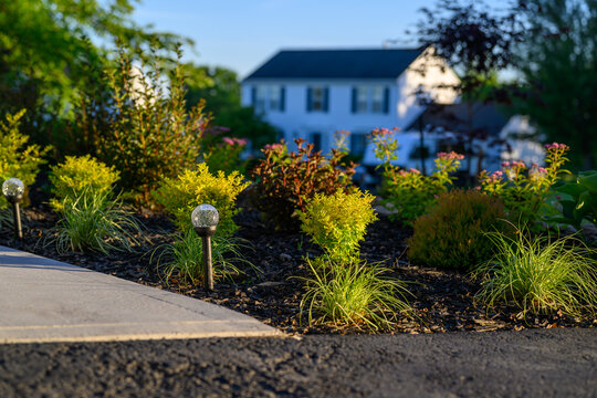 Landscaped Garden Bed with Shrubs and Walkway in Front of a Suburban House