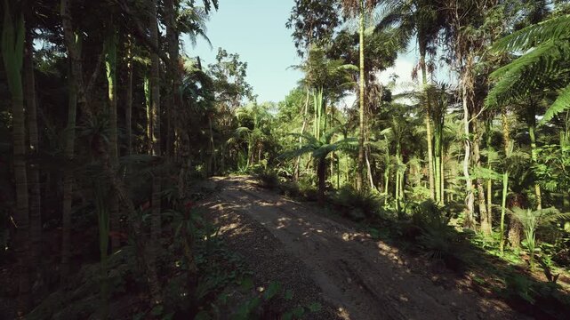 rugged forest path with uneven ground and dense vegetation, steep incline and scattered debris create challenging survival training scenario for outdoor skills,
