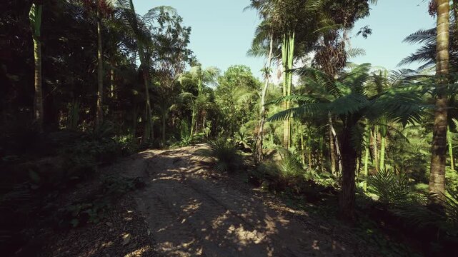 forest trail at selective logging edge, scattered cut marks and open patches contrast dense canopy, scene evokes sustainable forestry decisions, regeneration