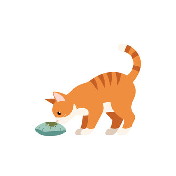 Curious ginger cat smelling a catnip toy on the floor