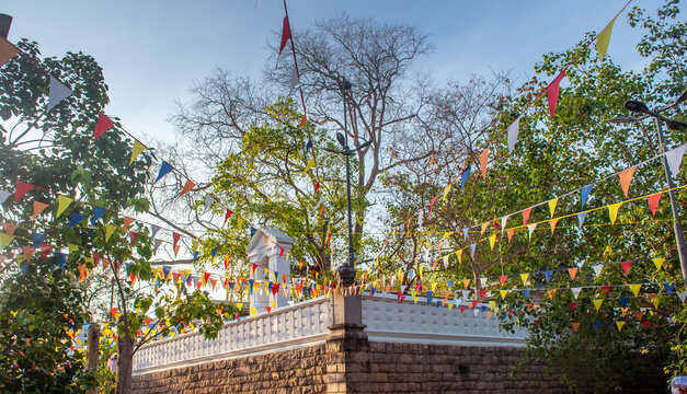 Sri Maha Bodhi Tree in Anuradhapura, Sri Lanka