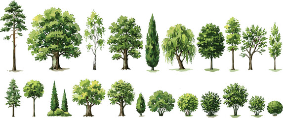 Fototapeta premium Comprehensive Realistic Tree and Shrub Vector Collection Featuring Oak Pine Cypress and Willow for Landscape Architecture Garden Design Planning and Environmental Illustration Projects