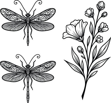 Intricate dragonfly and wildflower botanical elements in delicate line art style for nature print projects