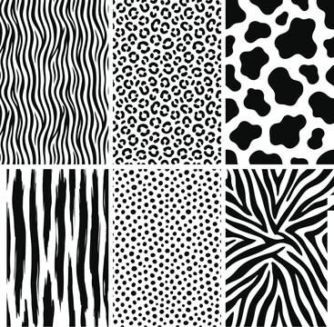Set of monochrome animal skin patterns featuring zebra stripes leopard spots and organic cow hide texture