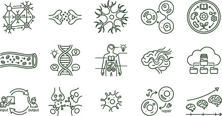 Obraz premium Monoline vector icon set celebrating World Teachers Day with biology metaphors showing learning neuron network teacher synapse bridge knowledge dendrite growth